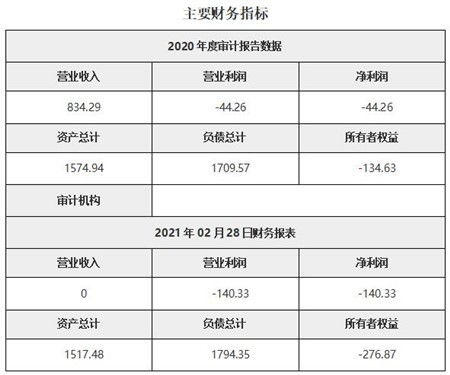 北京新材料技术服务公司技术转让项目11a12 0444